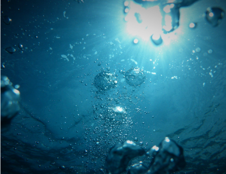 wie of wat brengt jou thuis